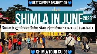 Shimla in june  Snow  Hotel  Budget  weather  kufri in june [upl. by Highams]