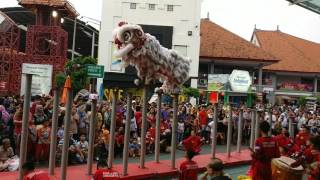 Barongsai Perfomance  Jakarta Fair 2017 Kong Ha Hong [upl. by Gabler]