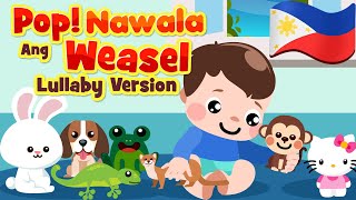 Pop Goes the Weasel Lullaby in Filipino  Flexy Bear Original Awiting Pampatulog Nursery Songs [upl. by Hermina]