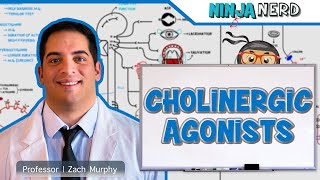 Autonomic Pharmacology  Cholinergic Agonists [upl. by Gona]