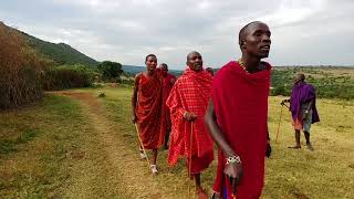 Do you want to Watch a Maasai Warrior Performance [upl. by Anoet]