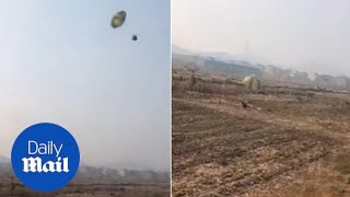 Moment hen attached to a parachute is dropped from AIRPLANE [upl. by Norga]