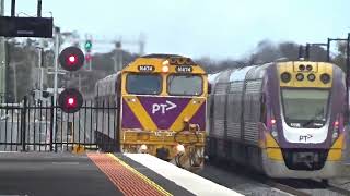 Trains At New South Geelong Filmed on 311024 [upl. by Rihsab615]