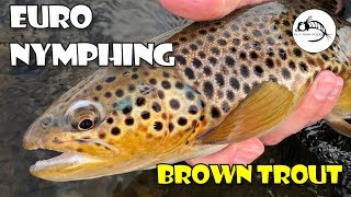 Euro Nymphing the Provo  WINTER Fly Fishing [upl. by Oaks]