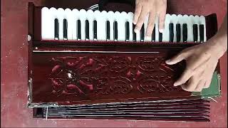 Double Line reed harmonium [upl. by Ahtilat603]