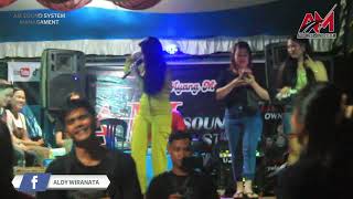 RENA RENA COVER REMIX  DIANA DJ  LIVE DESA BUNUT ACARA INDU MARSA [upl. by Godiva]