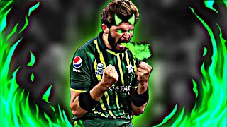 The Eagle 🦅  Shaheen Shah Afridi [upl. by Dominique]