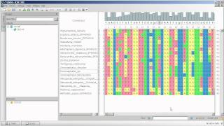 Unipro UGENE podcast 3 Working with multiple sequence alignment the basics [upl. by Icat]