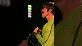 Ahhhmazing Soul to Squeeze Solo Red Hot Chili Peppers Rock Werchter [upl. by Christi]