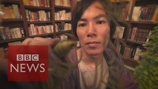 Manga artist Hajime Isayama reveals his inspiration  BBC News [upl. by Damalus]