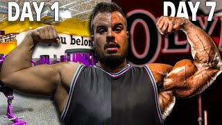 Massive Arms in 7 Days Feeder Workouts test [upl. by Anirrak]