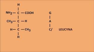 Jak zapamiętać aminokwasy [upl. by Dulciana]