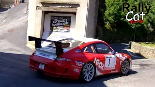 35e Rallye Montagne Noire 2014 showampmistakes  RallyCatRacing [upl. by Inna]