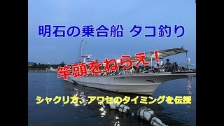 明石のタコ 誘い方合わせのタイミング伝授 [upl. by Lysander]