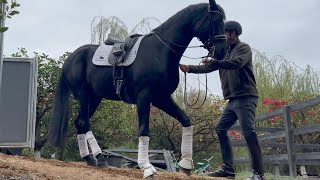 Try THIS with your horse 🐴 [upl. by Rosario]