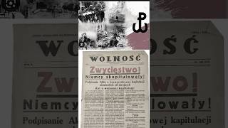 Hymn 11 Listopada 🇵🇱 123 rocznica dnia niepodległości 💪 shorts polska 2024 [upl. by Giana68]