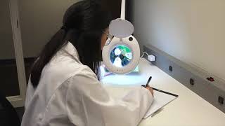 Aven Tools ProVue Solas Magnifying Lamps with Interchangeable Lenses [upl. by Dnaloy832]