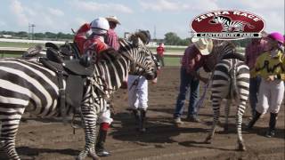 Canterbury Park Extreme Day 71517 [upl. by Eillak656]