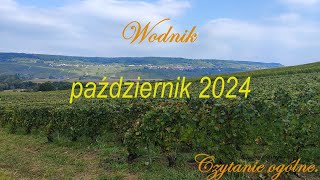 Wodnik październik 2024 Tarot [upl. by Gerg]