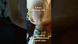 My favorite time of year honey homegrown homebrew hops ipa meade reels shortsviral like [upl. by Adnamar405]