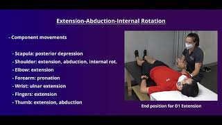 PNF Proprioceptive Neuromuscular Facilitation for the Upper Extremity [upl. by Notnelc29]