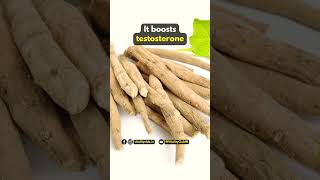 Benefits of ashwagandha for men 😍💪 shorts health fitness [upl. by Sophy]