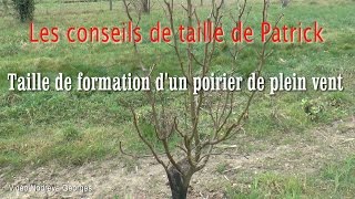 Taille de formation dun poirier [upl. by Mallina]