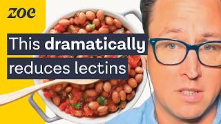 Should you worry about lectins  Dr Will Bulsiewicz [upl. by Mendoza]