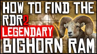 HOW TO FIND THE LEGENDARY BIGHORN RAM AND GET A PERFECT HIDE  RED DEAD REDEMPTION 2  LOCATION [upl. by Autum562]