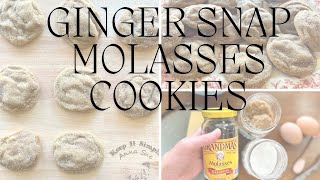 How to make cookies with molasses  Soft and Chewy Ginger Snap Recipe [upl. by Mini826]