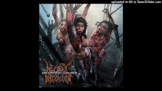 Necrotic Disgorgement  Documentaries of Dementia Full Album [upl. by Ardnekan]