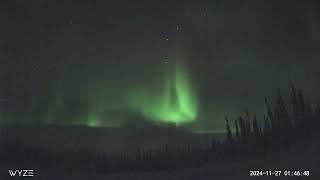 November 26 2024 Fairbanks Alaska Northern Lights timelapse [upl. by Airrej]