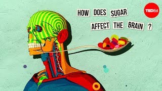 How sugar affects the brain  Nicole Avena [upl. by Pravit]