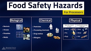 HACCP Food Safety Hazards [upl. by Eeima]