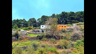 Große ObstbaumFinca mit zwei typisch kanarischen Landhäusern Außenküche Höhle und div Ställen [upl. by Nefen]