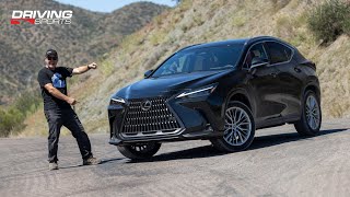 2022 Lexus NX AllNew Compact Crossover Full Review and Trail Test [upl. by Yddur]