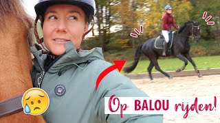 Op BALOU rijden EERSTE TV AFLEVERING amp Marley KREUPEL  felinehoi WEEKVLOG 410 [upl. by Alcock]