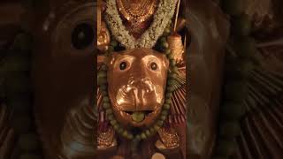 peddamma thalli temple vairalvideo entertainment [upl. by Alesram846]