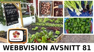 Webbvision Avsnitt 81  Bergs Odling och fritidsodling [upl. by Anaet354]