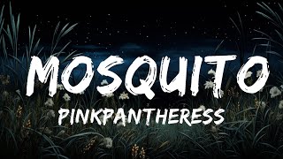 1 Hour PinkPantheress  Mosquito Lyrics  Morning Lyrics Music [upl. by Pradeep927]