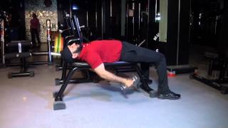 BICEPS  Lying Hammer Curls [upl. by Heber]