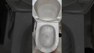 2017 Close Coupled Sericite Toilet toilet [upl. by Chemaram]