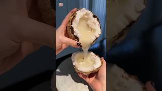 amazing coconut 🥥  shorts facts [upl. by Winifield155]