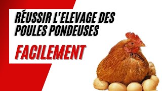 Comment Bien Débuter lElevage des Poules Pondeuses en 5 Etapes [upl. by Archle]