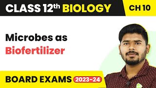 Class 12 Biology Chapter 10  Microbes as Biofertilizer  Microbes in Human Welfare 202223 [upl. by Felice]