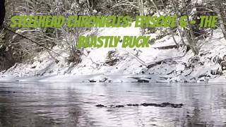 MASSIVE Winter Steelhead on the FLY INTENSE  Skeena Watershed [upl. by Cavanaugh639]