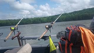 spot number 2 Ohio River may 4th 2024 [upl. by Narmis]