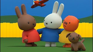 Miffy’s World Miffy is finally going fruit picking applepicking miffy world bunny cute [upl. by Kirt632]