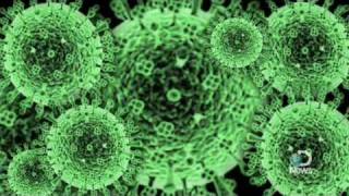 The H1N1 Swine Flu A Look Inside [upl. by Atteroc]