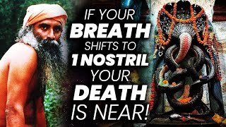 Your Death Is Near if Your Breath Shifts To 1 Nostril  Naga  Snake  Occult  Sadhguru Adiyogi [upl. by Enerol245]